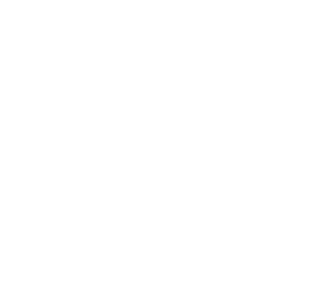 Waku logo