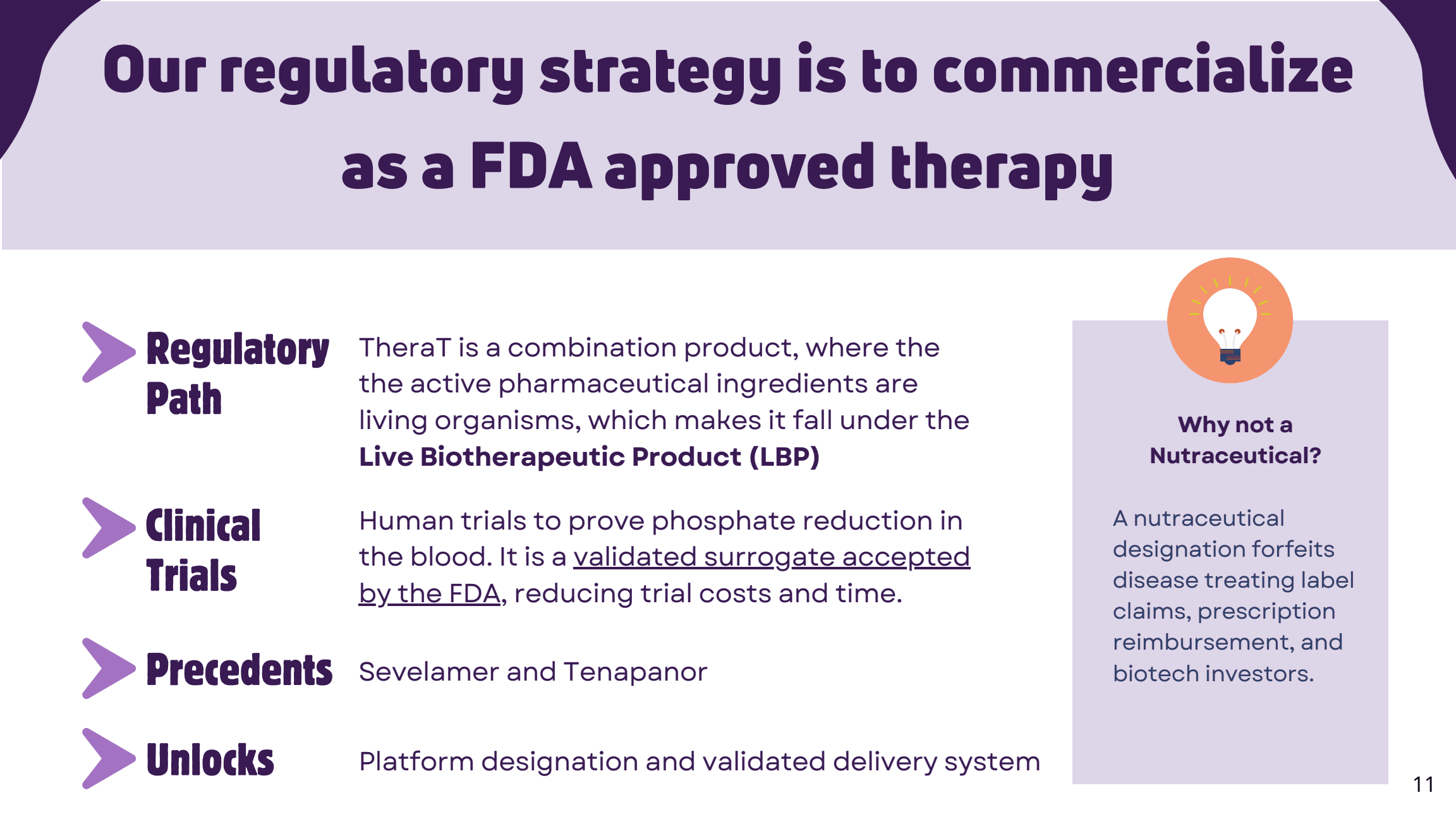 TheraT pitch slide 11: Proposed regulatory strategy.