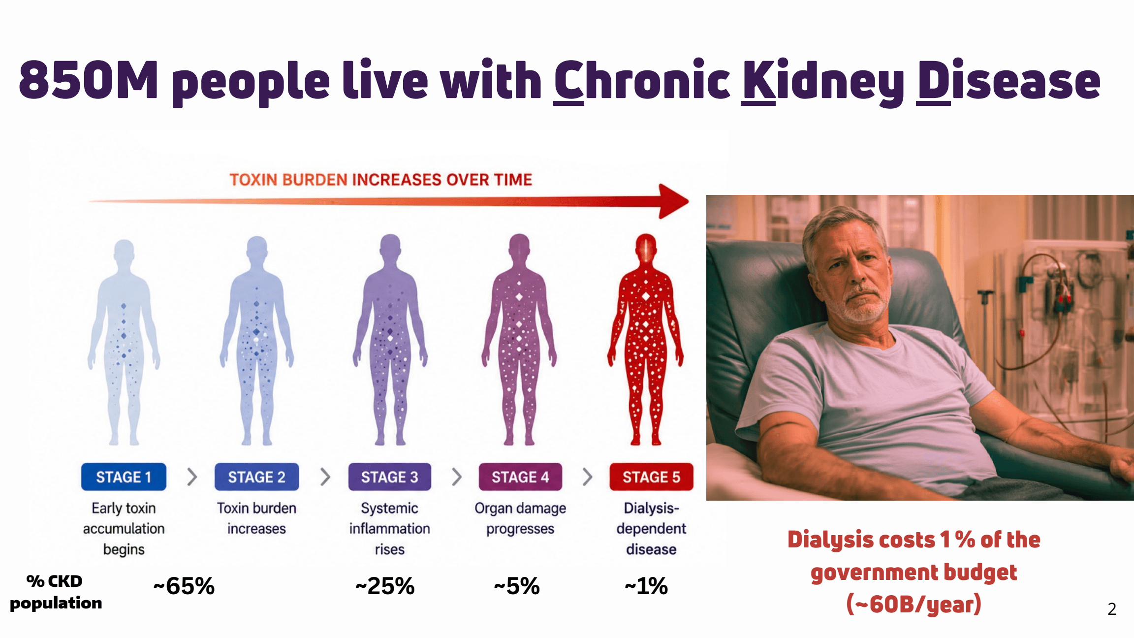 TheraT pitch slide 2: The kidney-care problem.