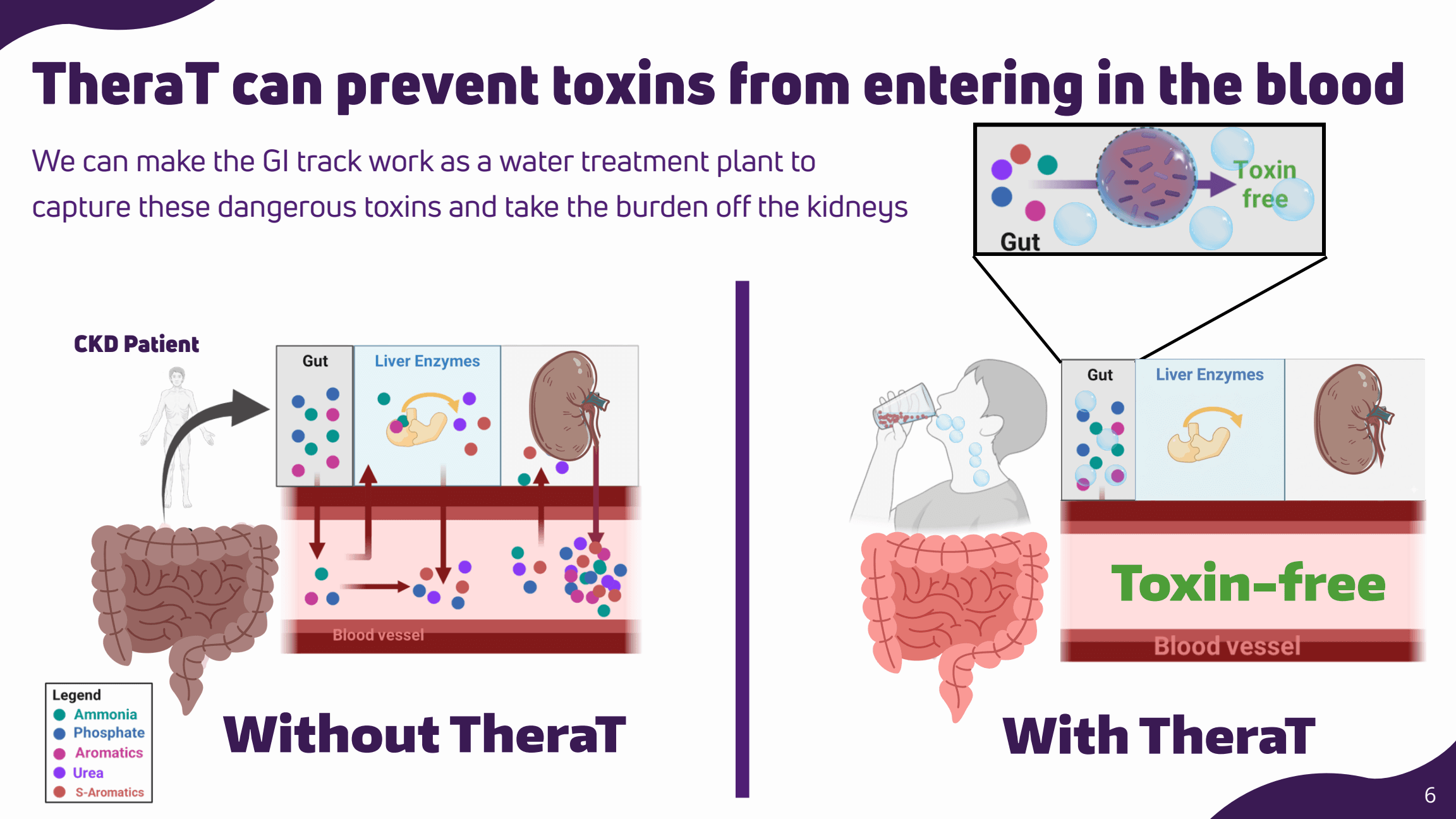 TheraT pitch slide 6: The proposed mechanism.